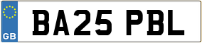 Truck License Plate